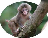 No  subir, por favor