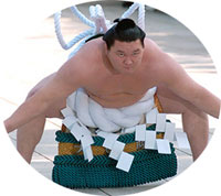 yokozuna